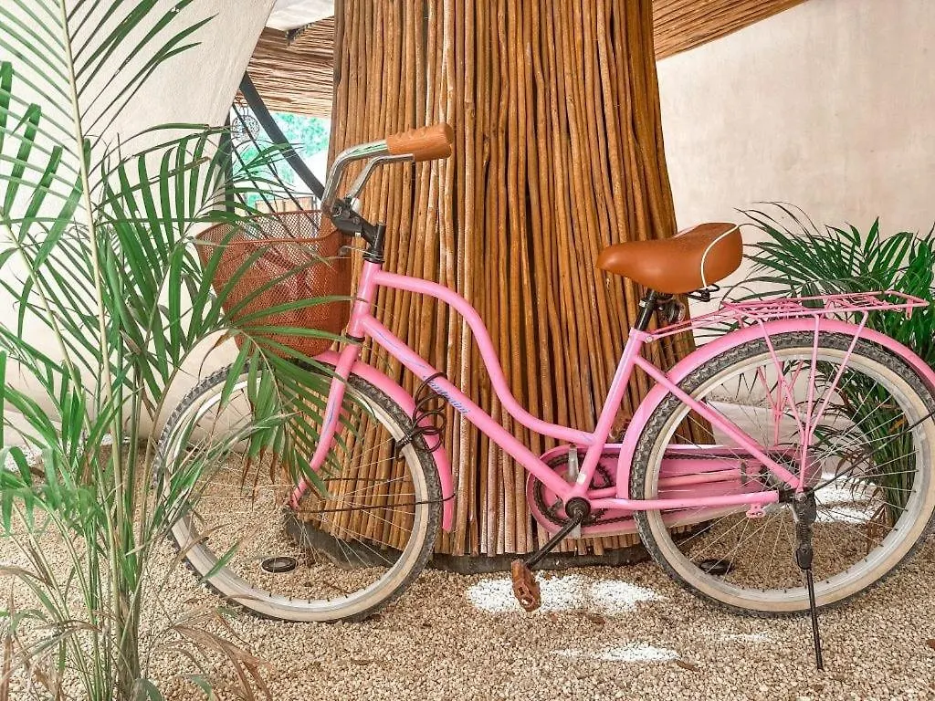Apartmán Rama Traveler'S Oasis Tulum